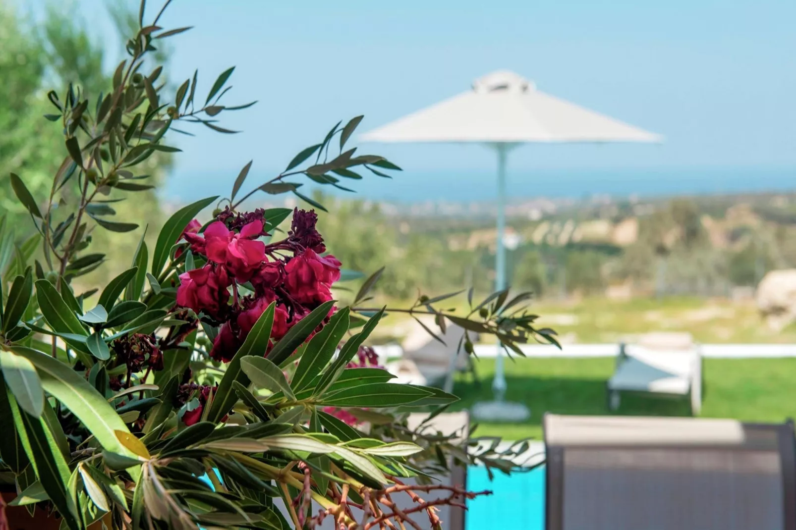 Villa Kyria-Gardens summer