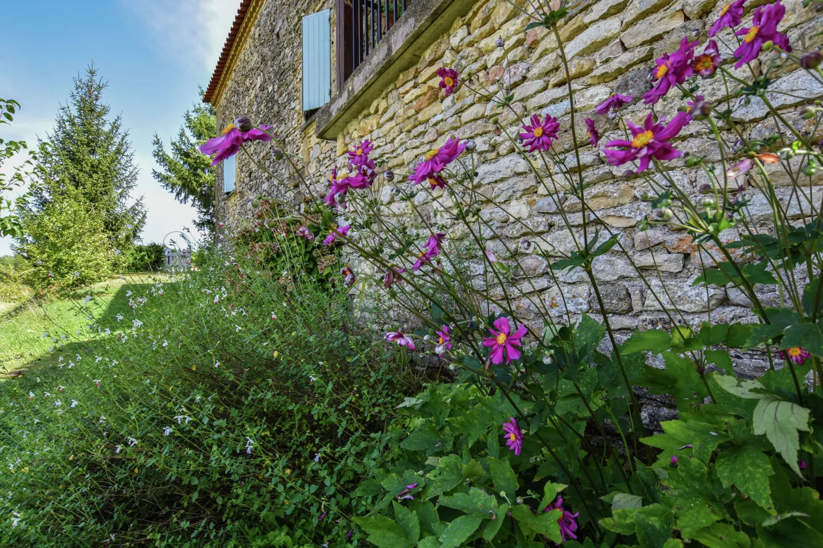 Maison au calme avec piscine-Gardens summer