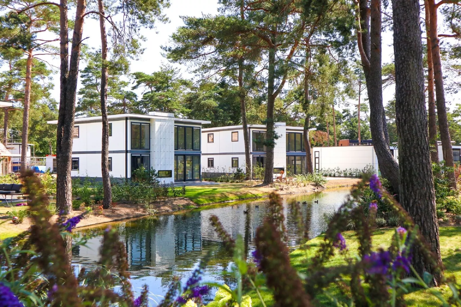 Resort De Zanding 18-Gebiete Sommer 1 km