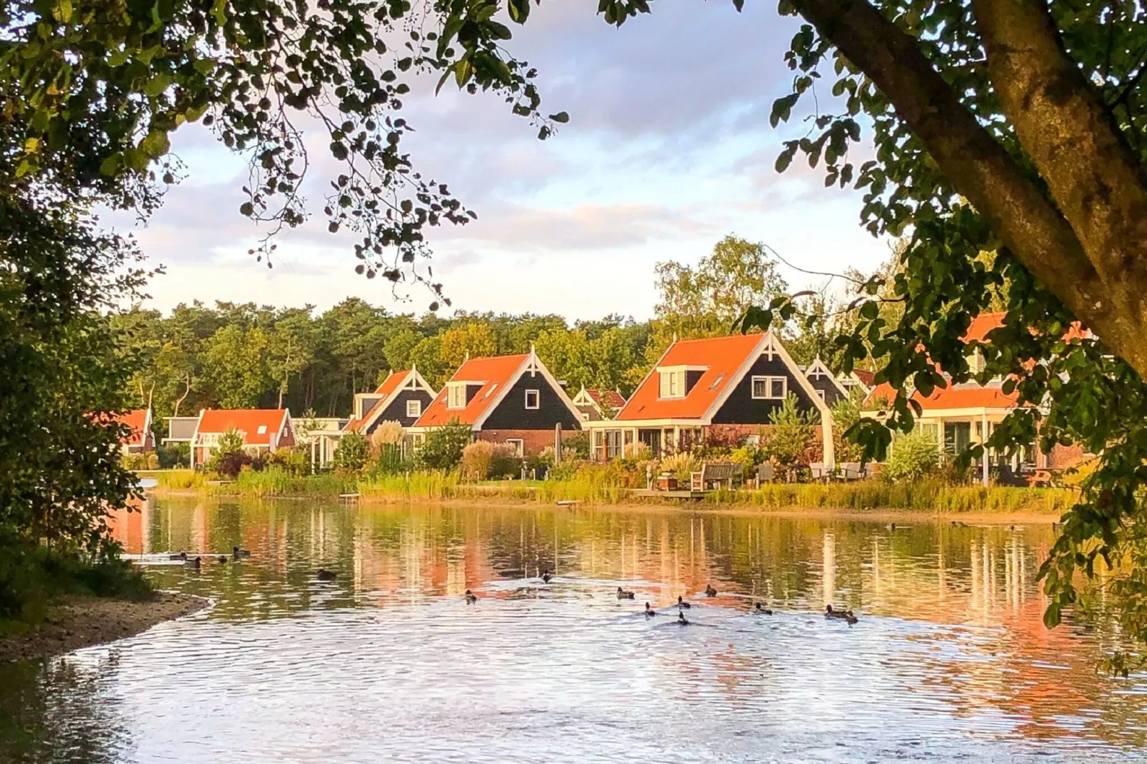 Resort De Zanding 18-Gebiete Sommer 1 km
