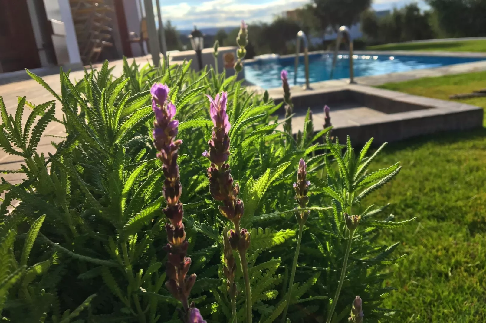 Villa Kyria-Gardens summer