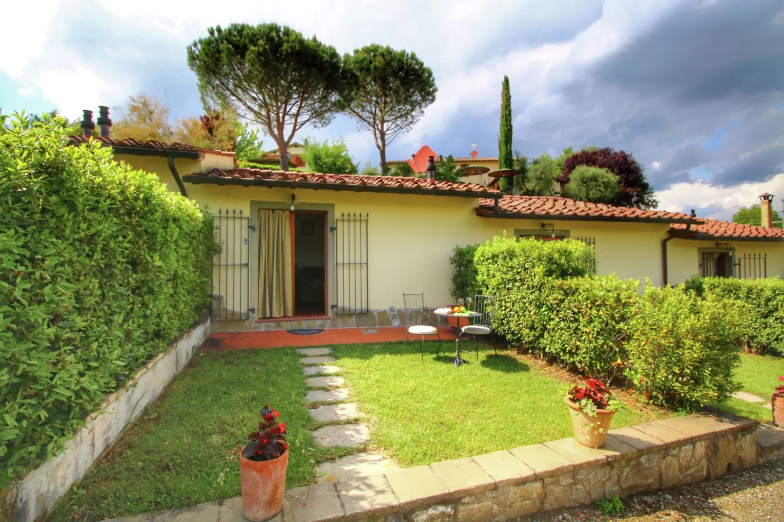 Viole-Exterior summer