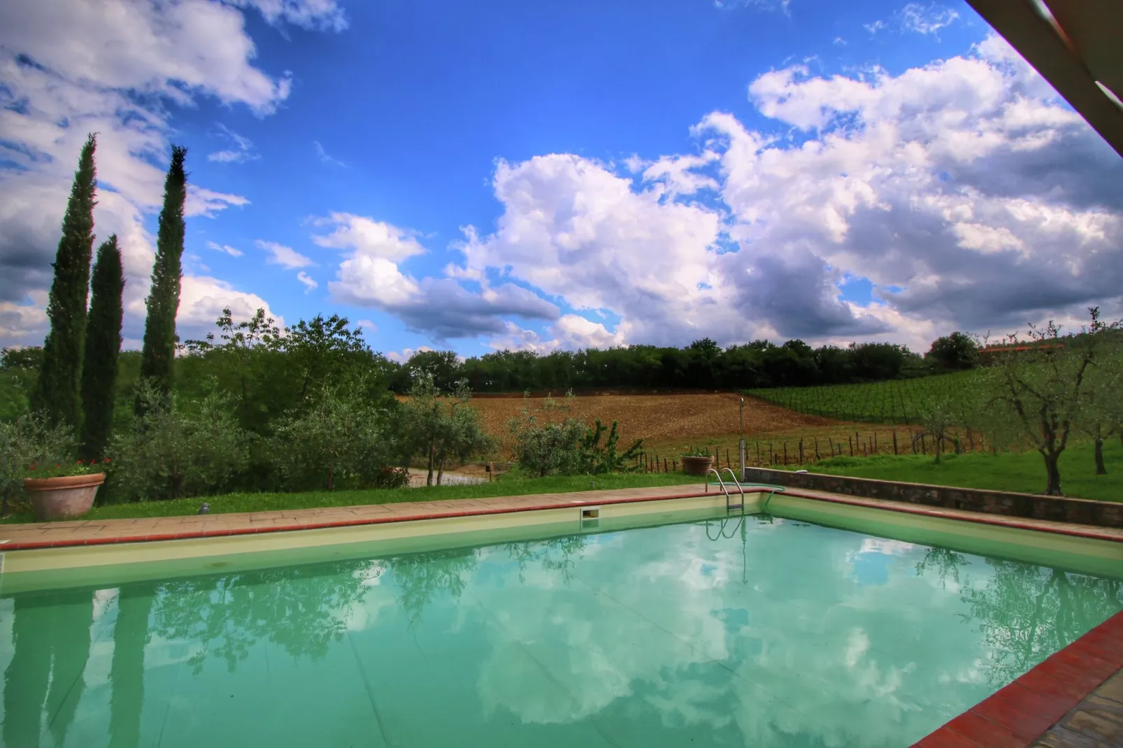 Viole-Exterior summer