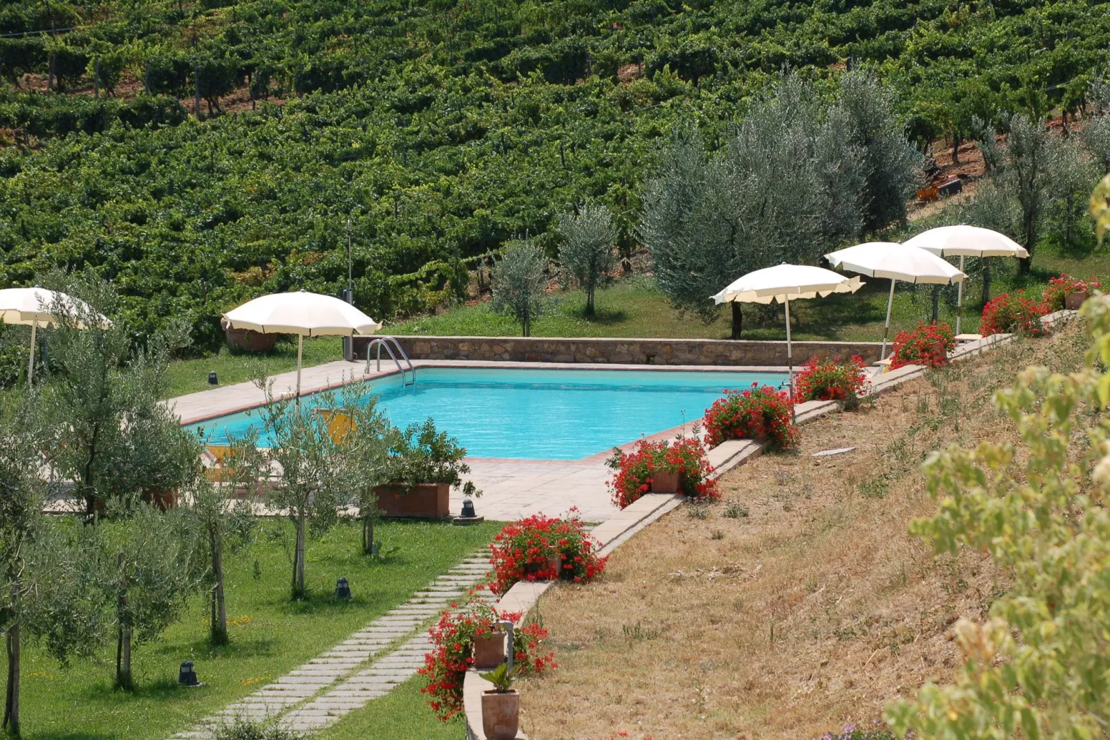 Viole-Pool