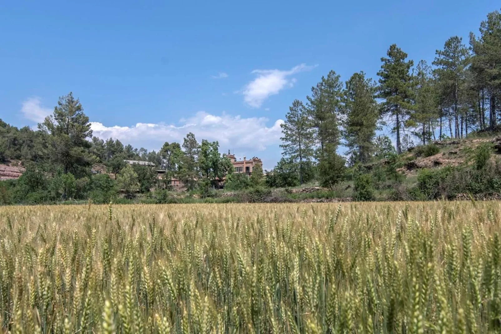 La vila Argençola-View summer