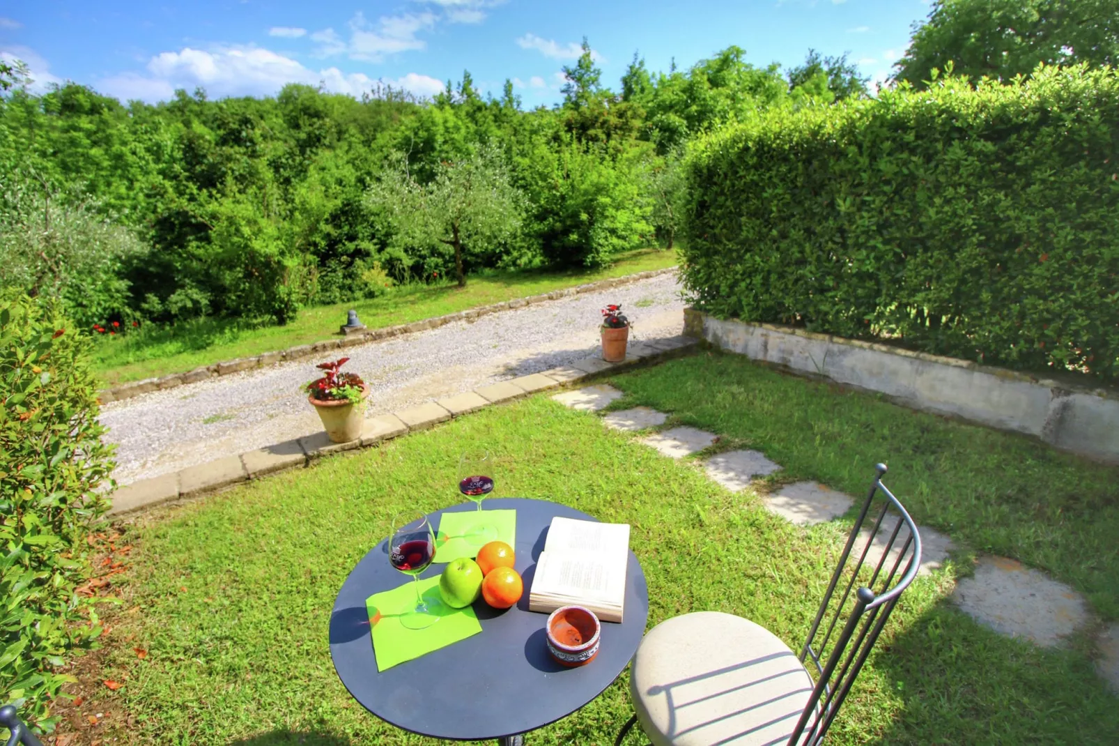 Viole-View summer