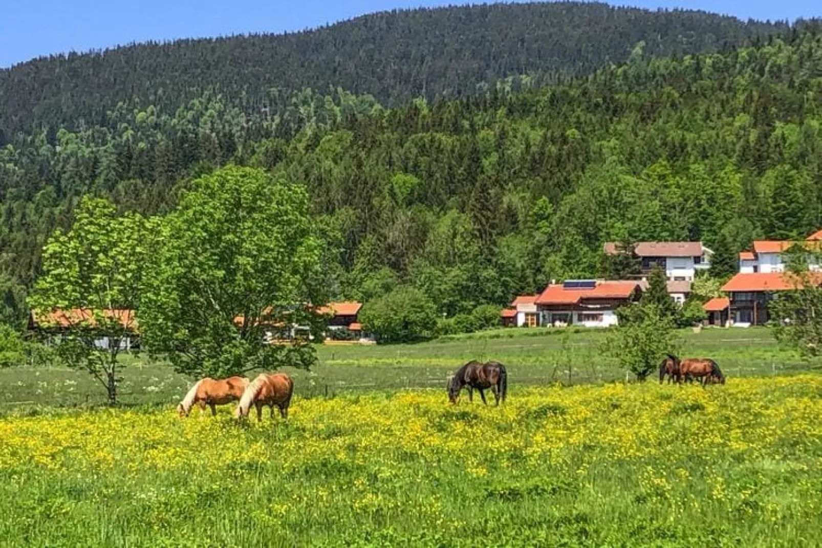 Chalet Chiemgau, Inzell-Haus Nr.10-Areas summer 5km