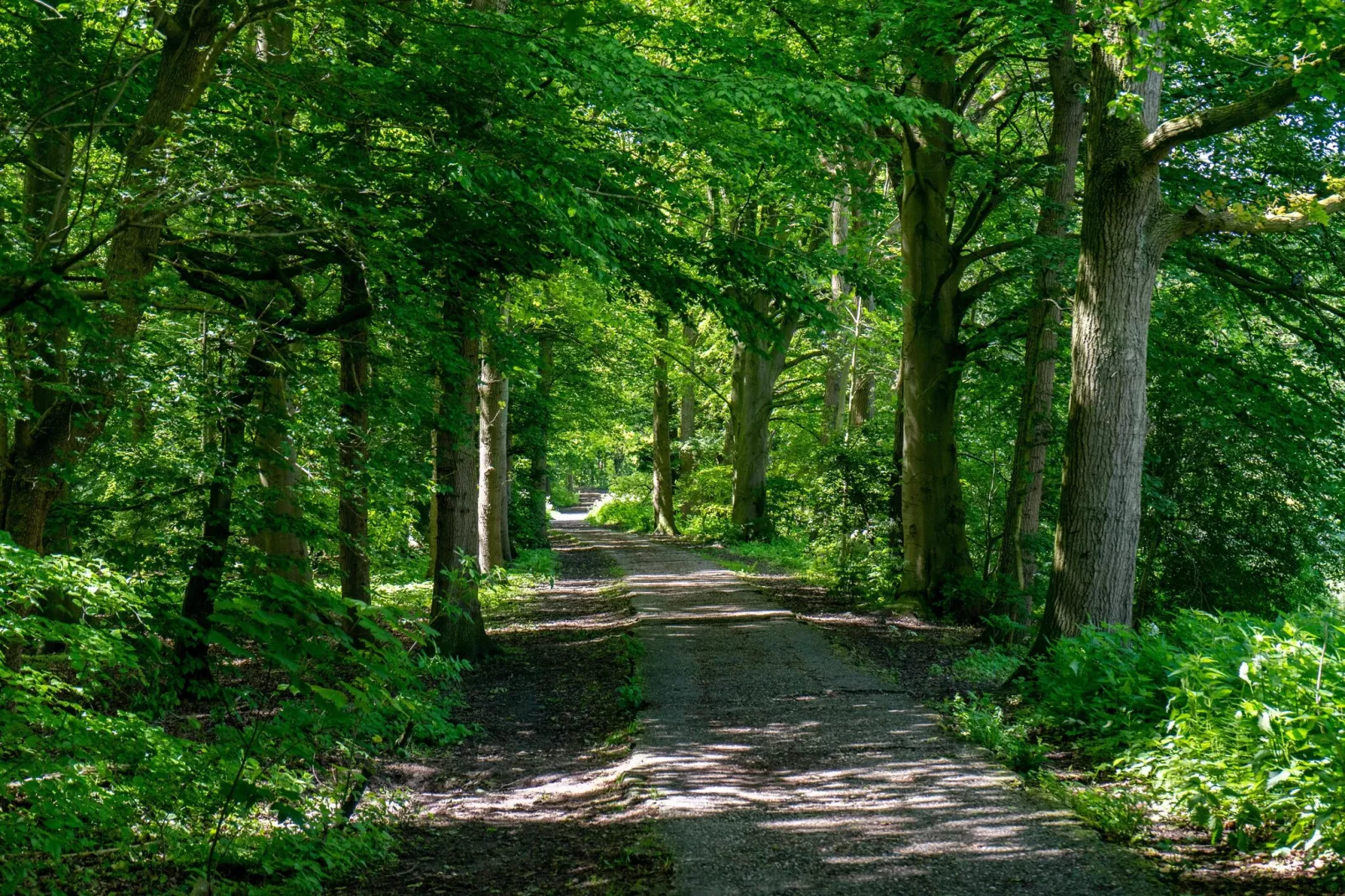 Resort Het Amsterdamse Bos 1-Areas summer 5km