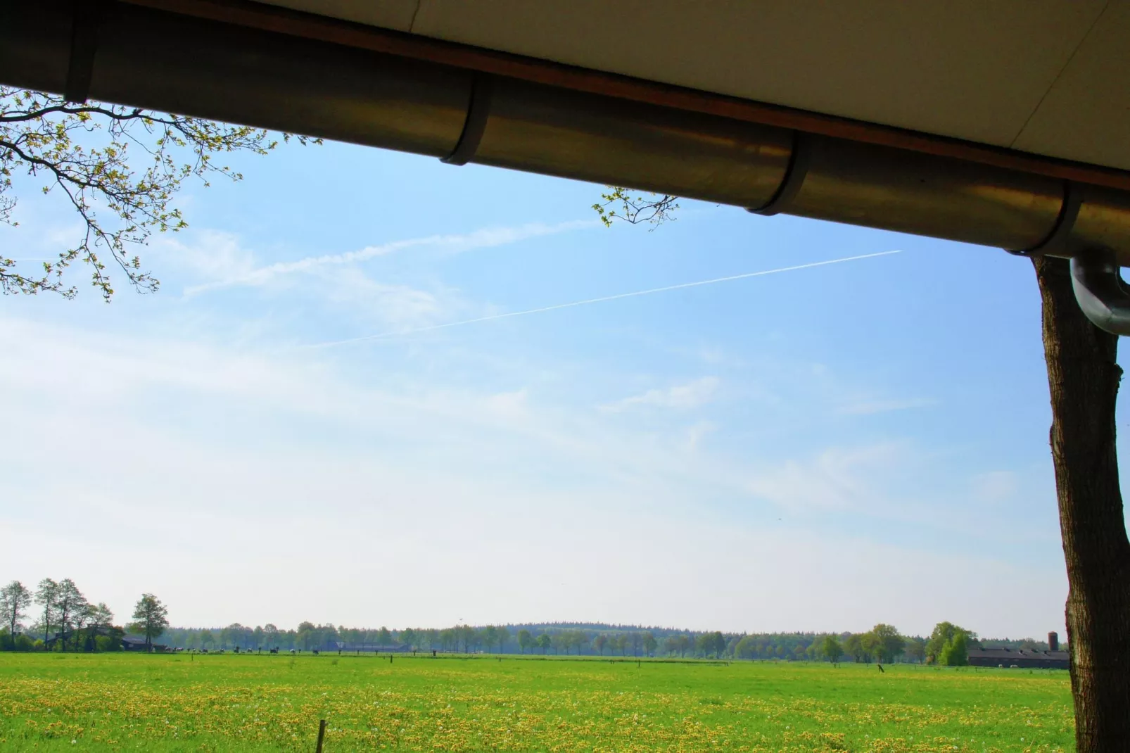 Hof van Salland 5-Areas summer 1km