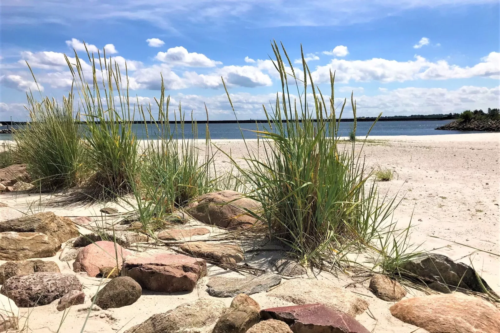 Ostseeresort Olpenitz James Cook-Areas summer 5km