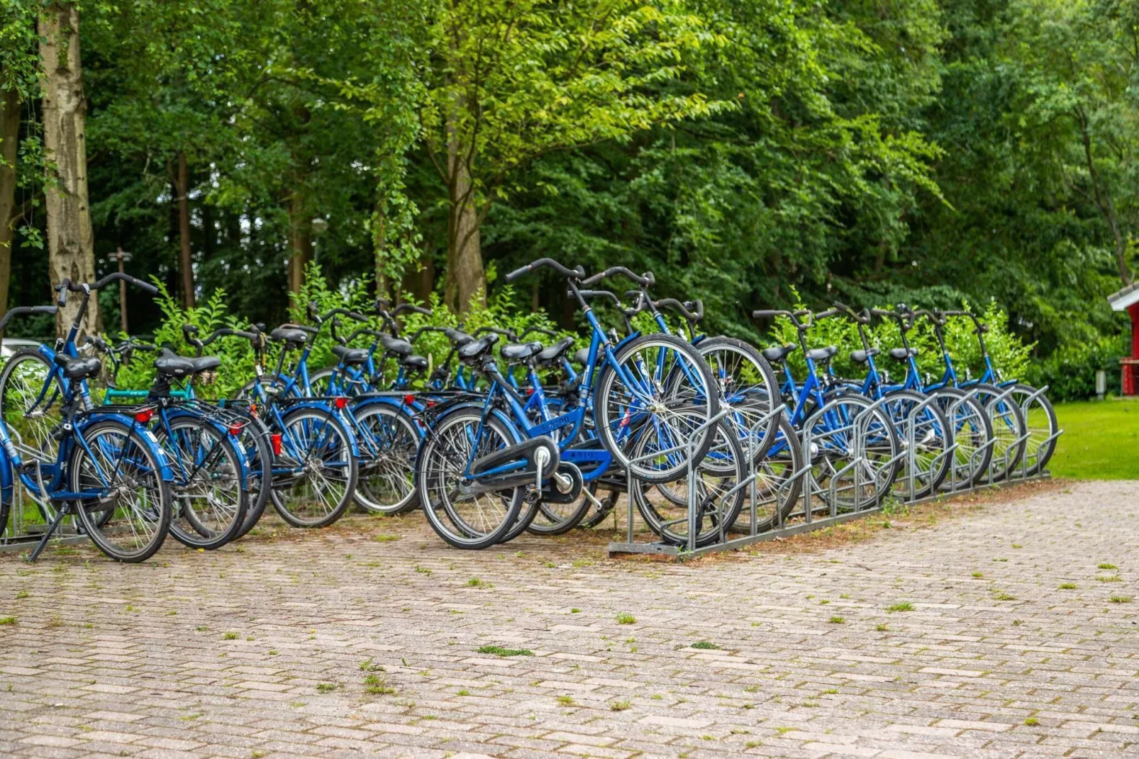Resort Het Amsterdamse Bos 1-Park facilities