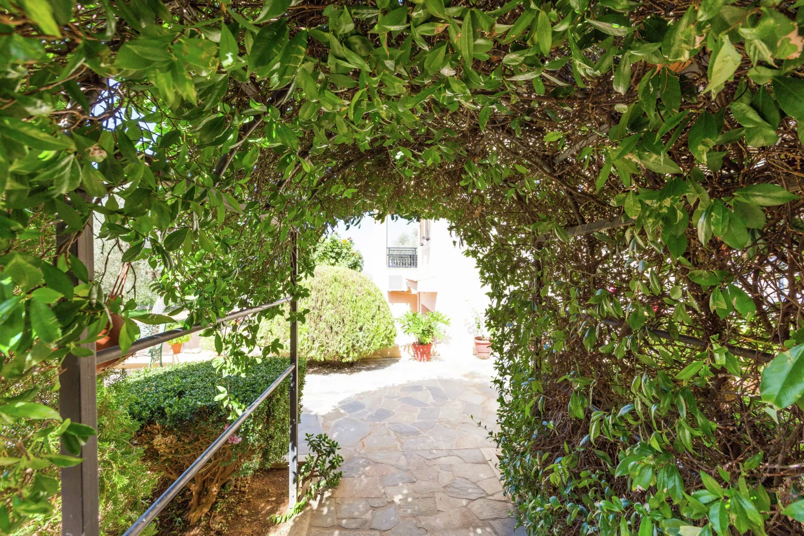 Oil Apartment-Gardens summer