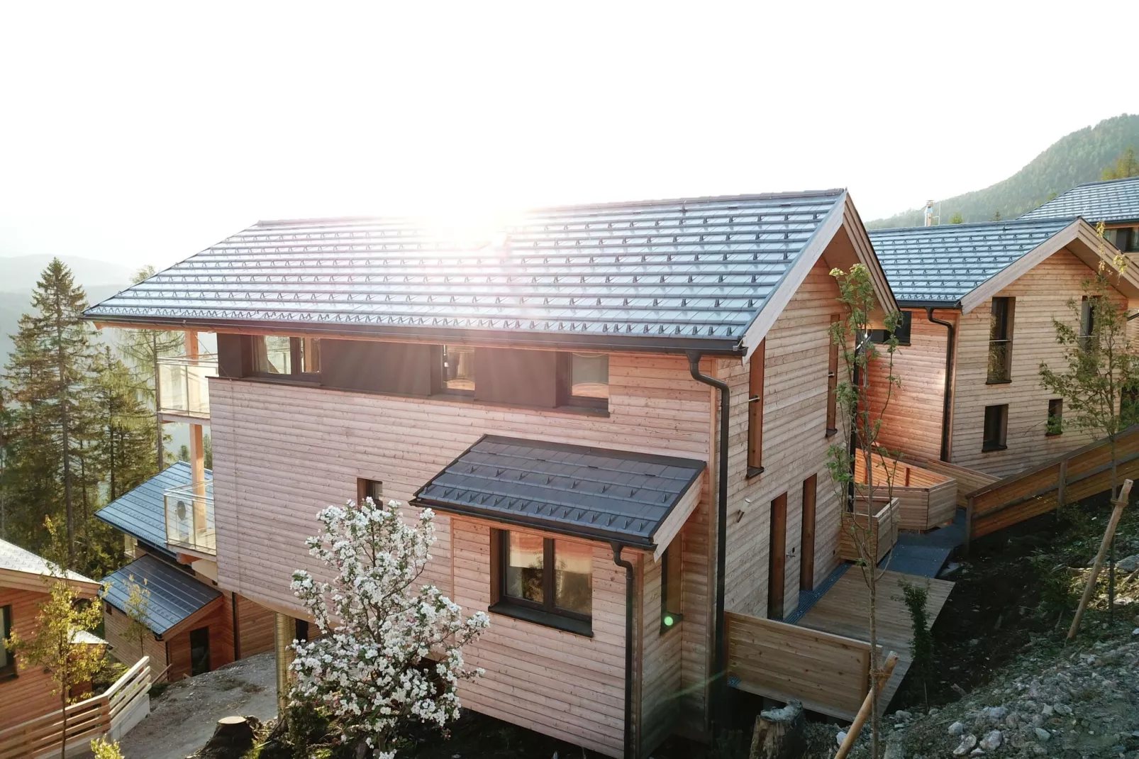 Alpenchalets Reiteralm 2-Exterior winter