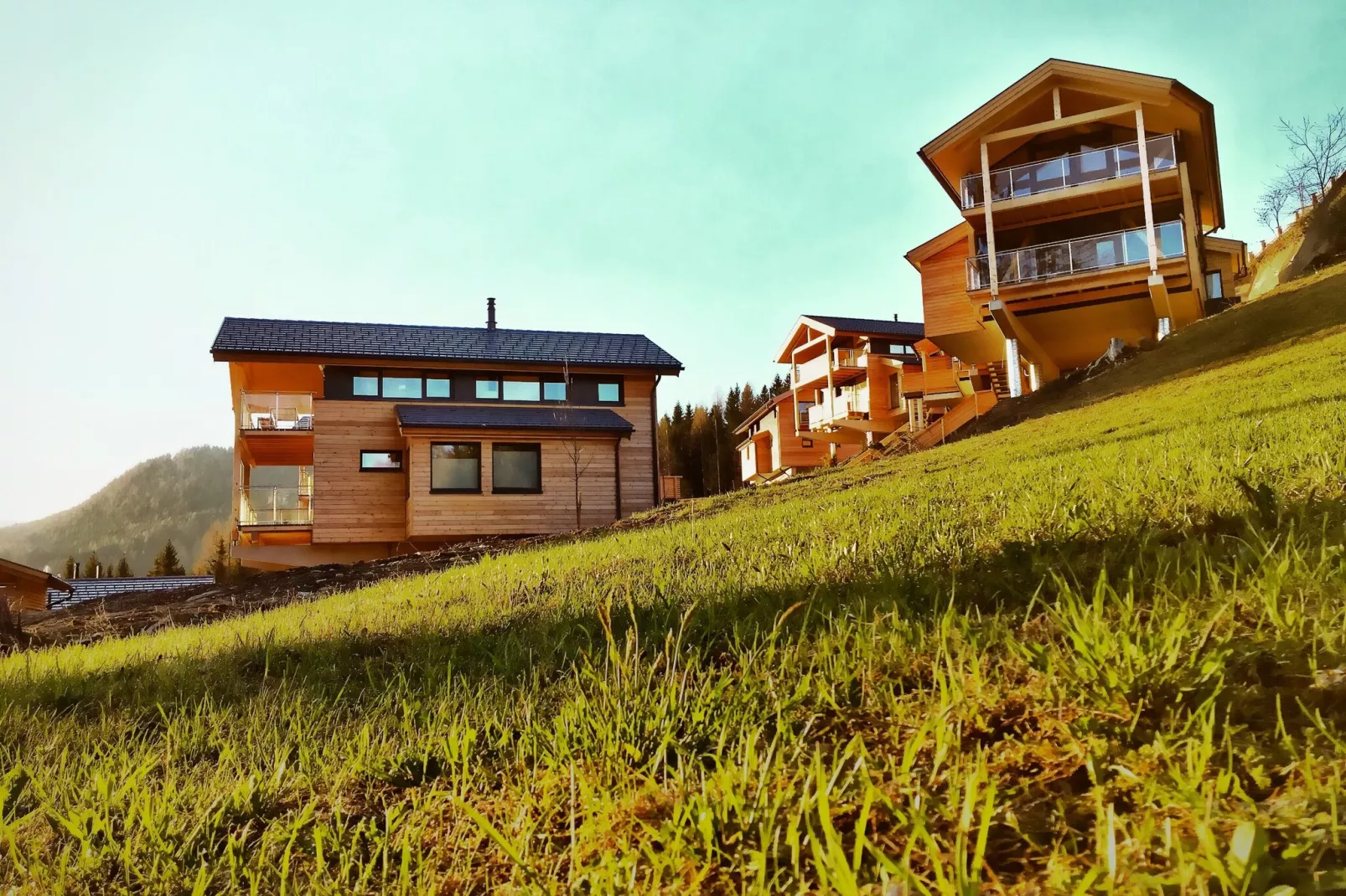 Alpenchalets Reiteralm 2-Exterior summer
