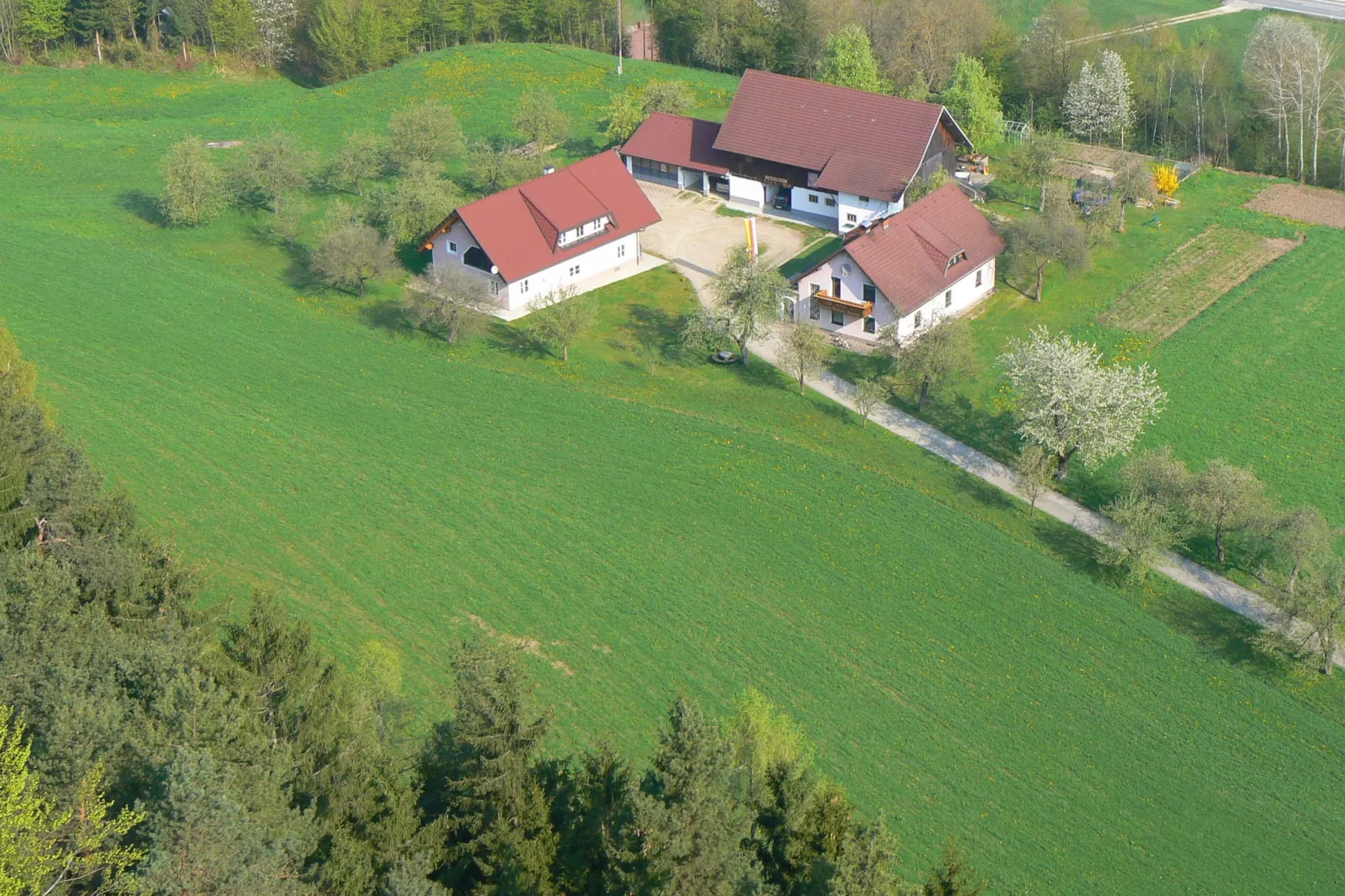 Ferienwohnung Neuhaus-Exterior summer