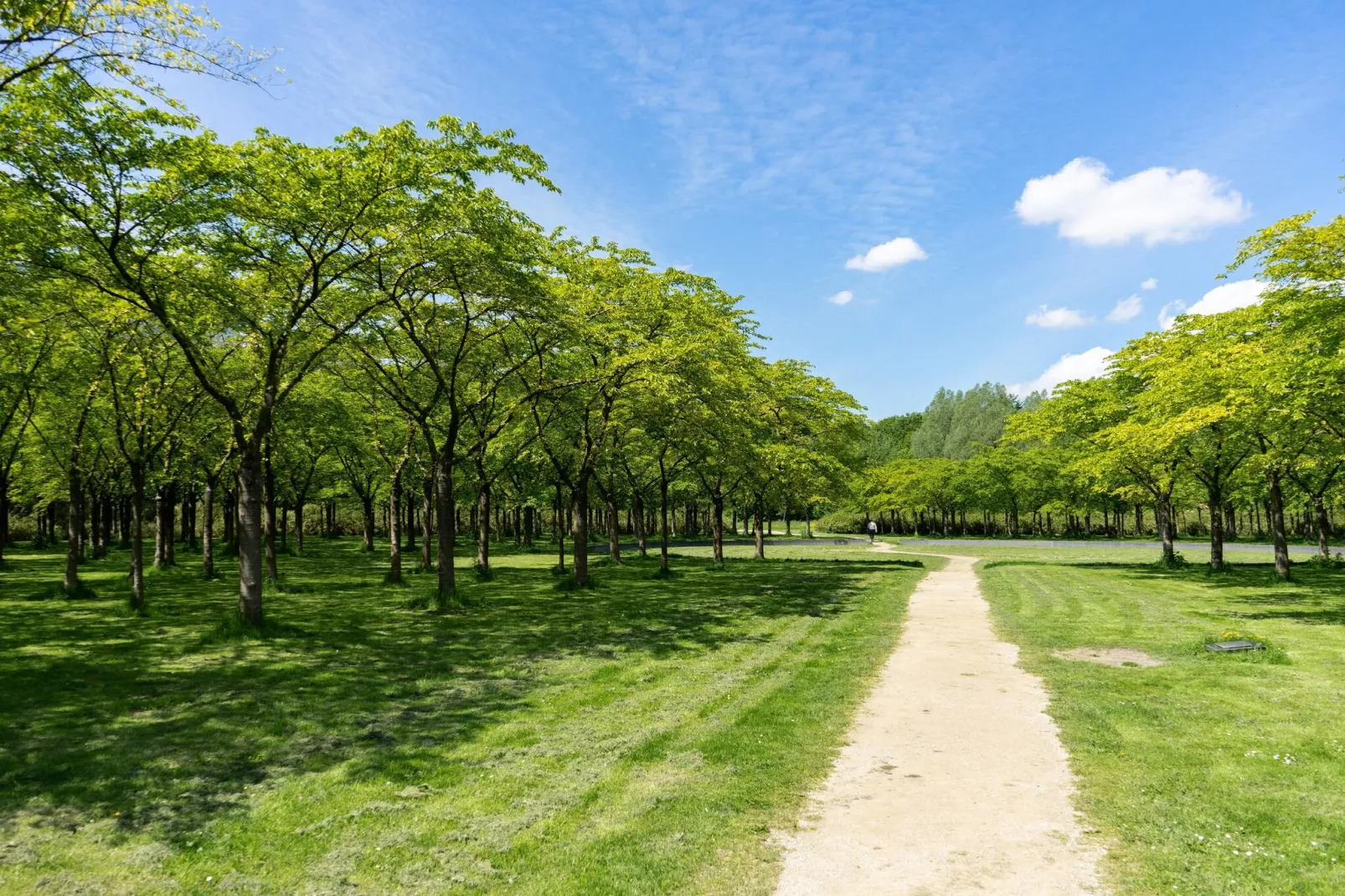 Resort Het Amsterdamse Bos 2-Areas summer 1km