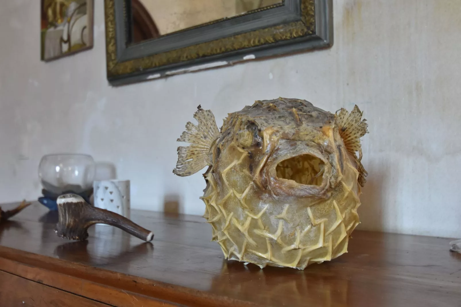 Le Manoir de Coatanscour-Ambiente