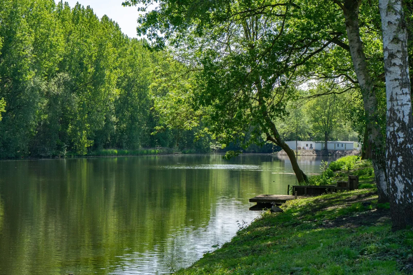 Resort Het Amsterdamse Bos 2-Areas summer 1km