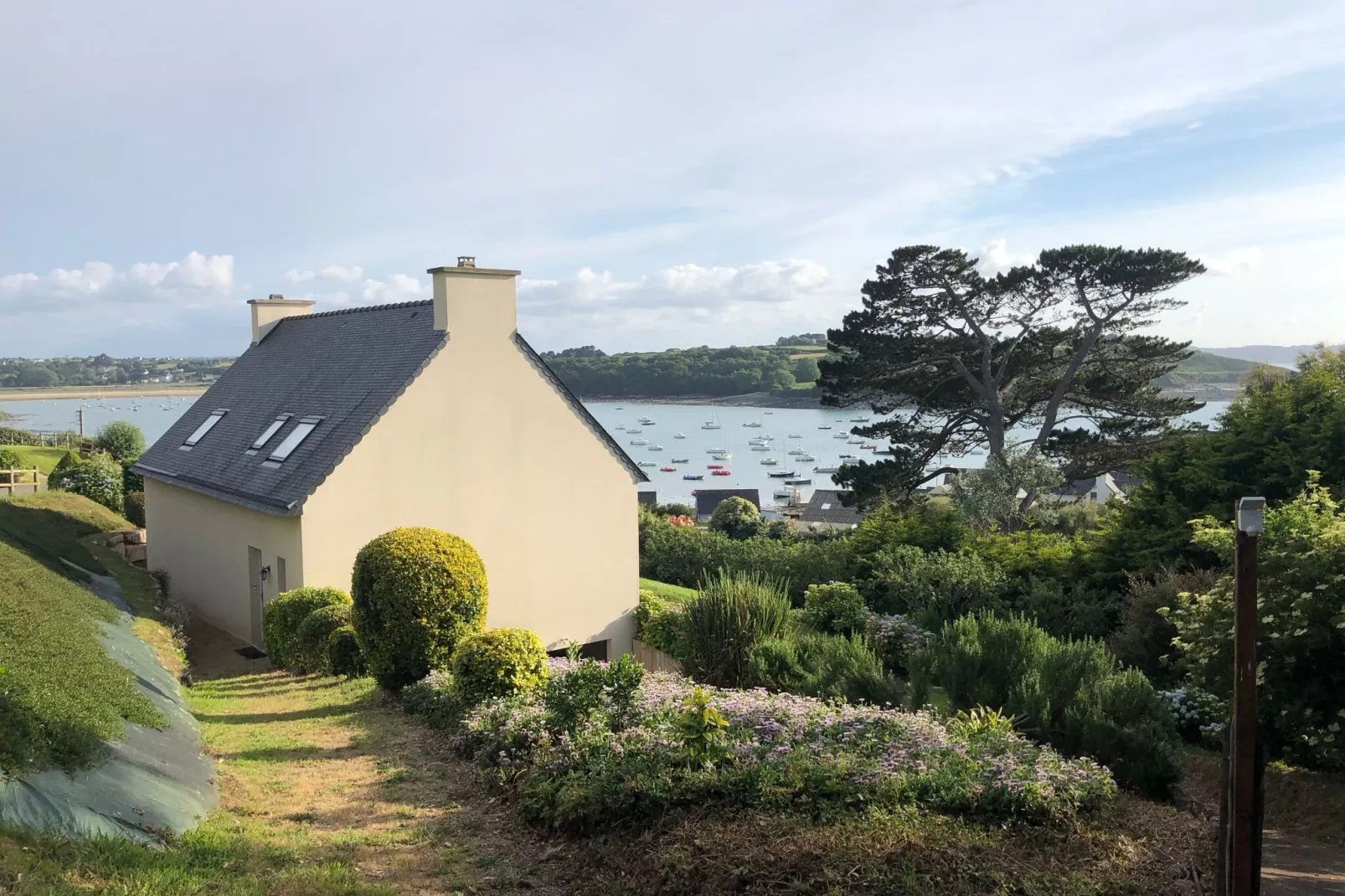 Maison de vacances Plougasnou-Terenez-Extérieur été