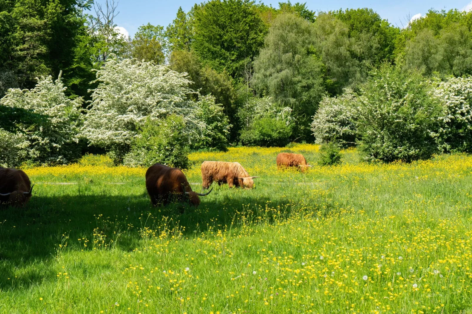 Resort Het Amsterdamse Bos 2-Areas summer 5km