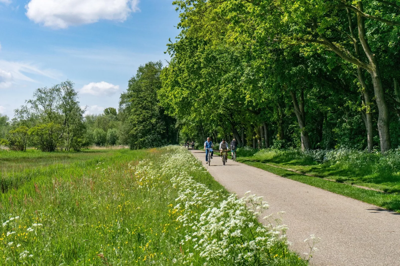 Resort Het Amsterdamse Bos 2-Areas summer 5km