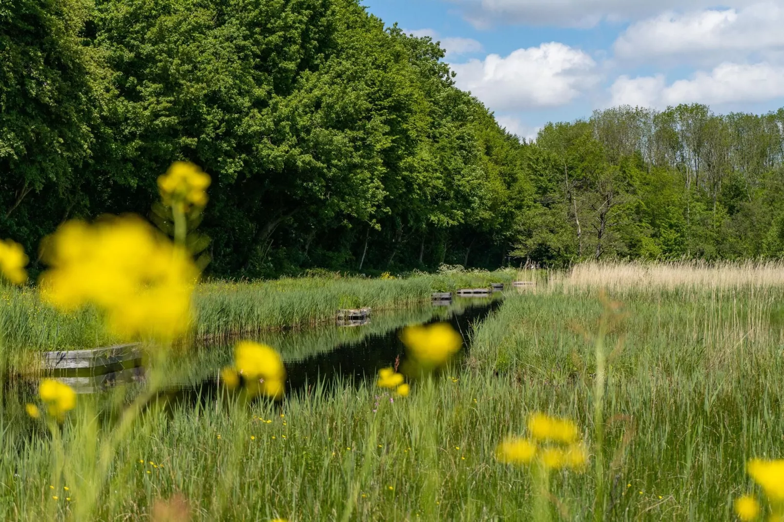Resort Het Amsterdamse Bos 2-Areas summer 5km