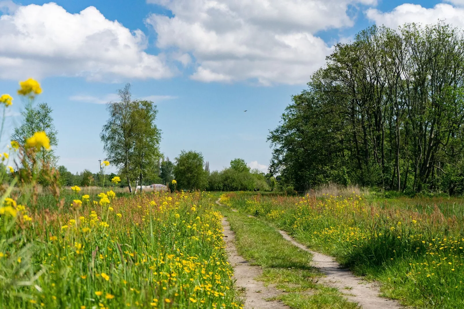 Resort Het Amsterdamse Bos 2-Areas summer 5km