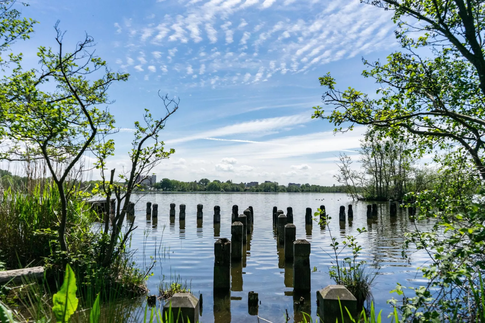 Resort Het Amsterdamse Bos 2-Areas summer 5km
