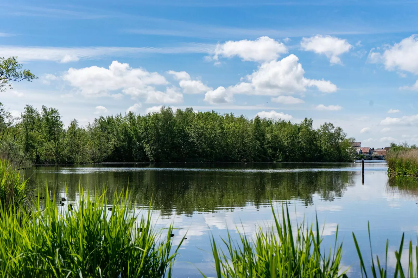 Resort Het Amsterdamse Bos 2-Areas summer 5km