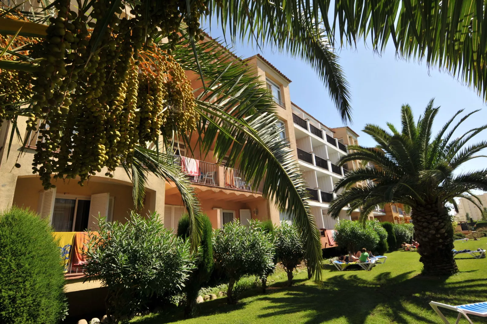 Comte de Empuries Apt  C-Gardens summer