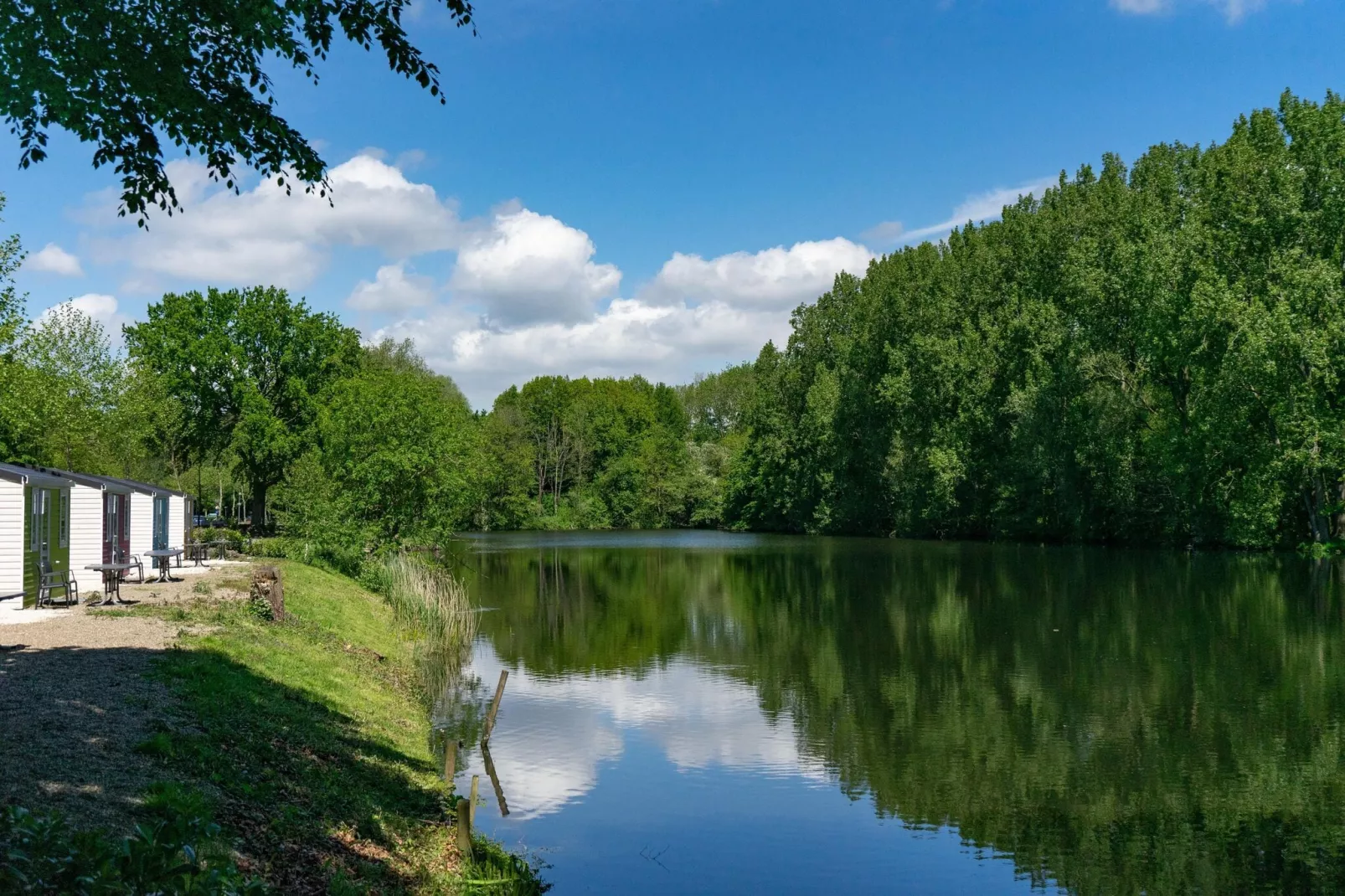 Resort Het Amsterdamse Bos 3-View summer