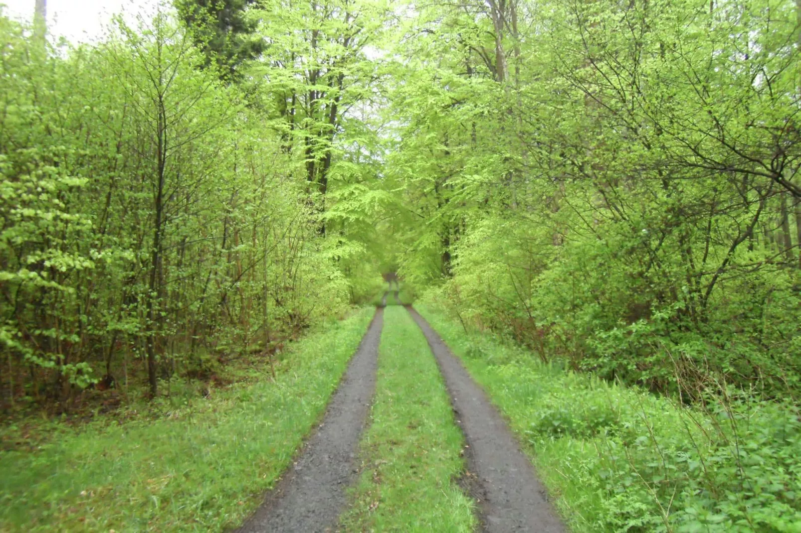 Nisterau-Areas summer 5km