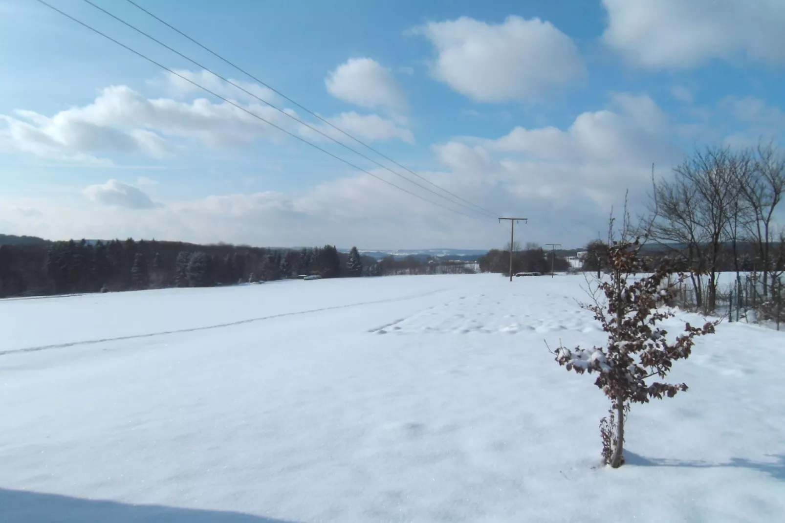 Nisterau-Area winter 5km