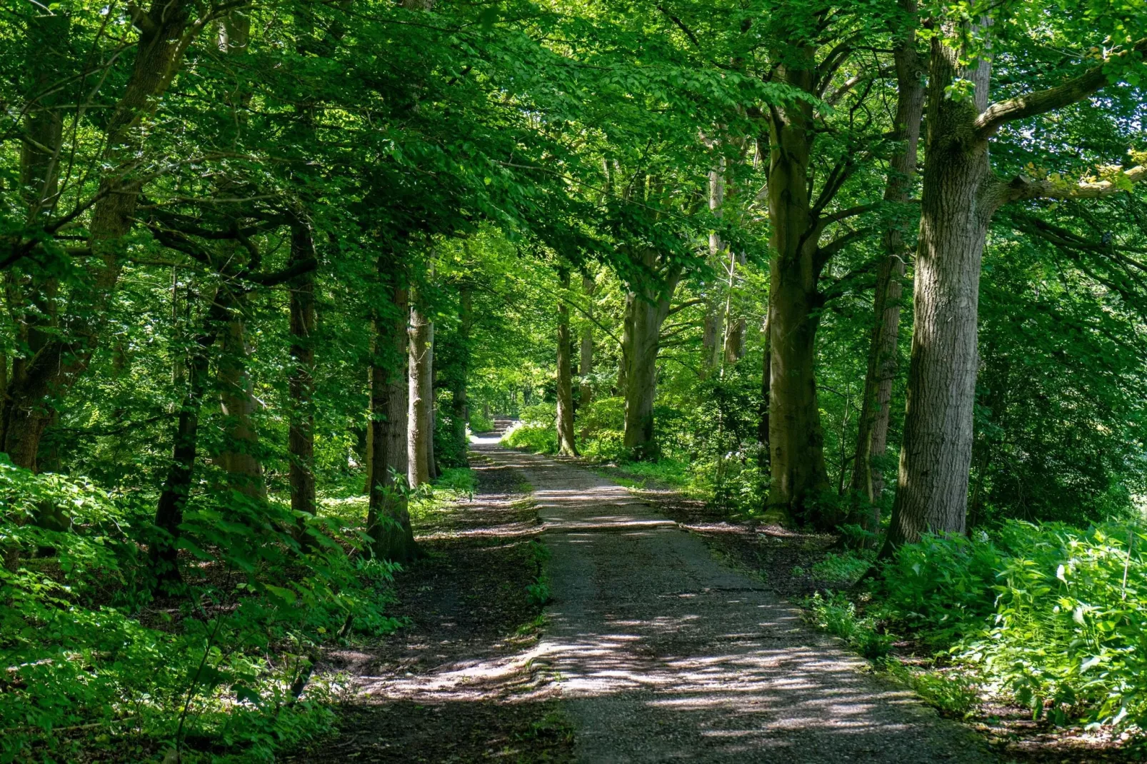 Resort Het Amsterdamse Bos 3-Areas summer 5km