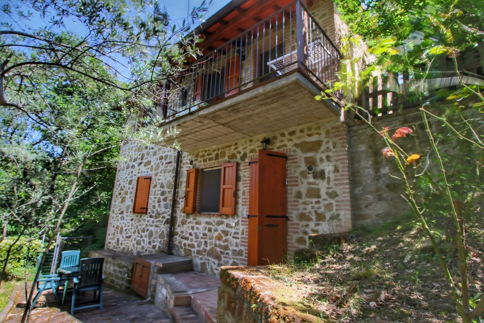 Olivo-Exterior summer