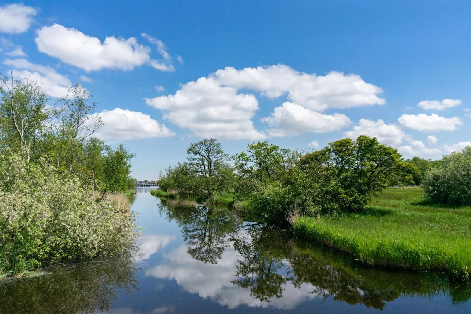 Resort Het Amsterdamse Bos 3-Areas summer 5km