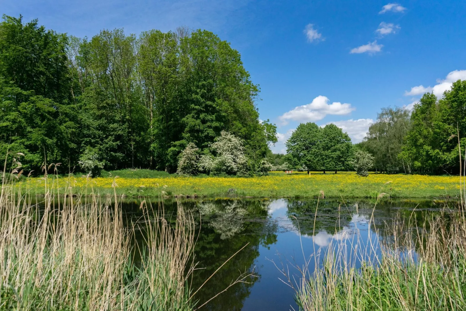 Resort Het Amsterdamse Bos 3-Areas summer 5km