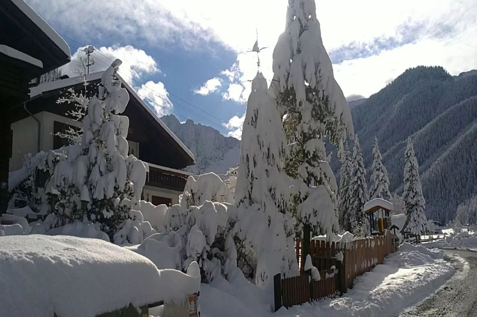 gardenwinter