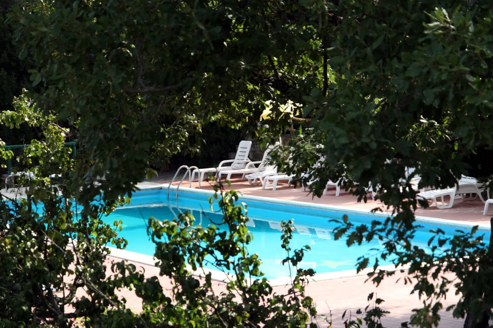 Olivo-Pool