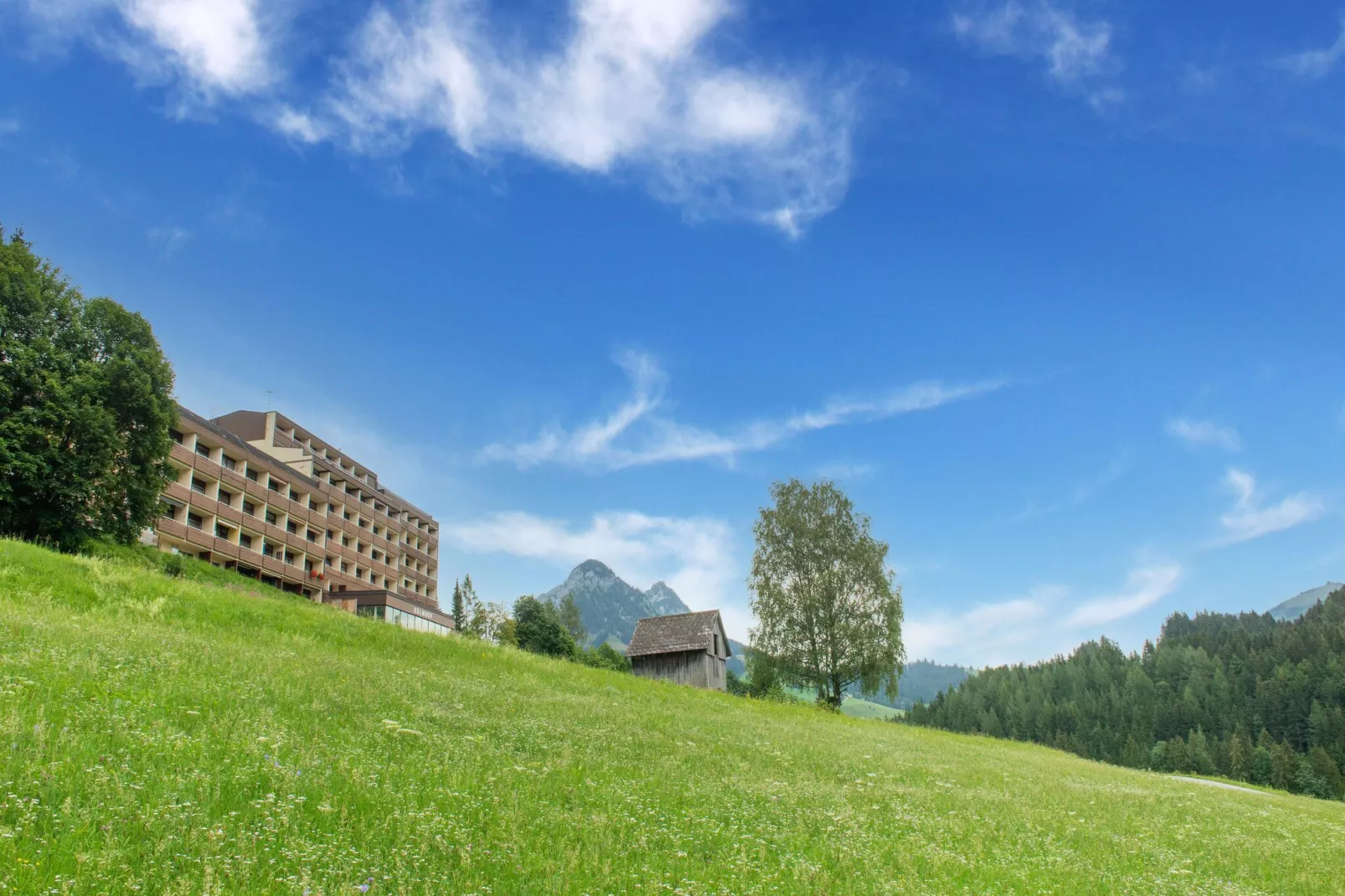 Appartement Tauplitz-Gebiete Sommer 1 km
