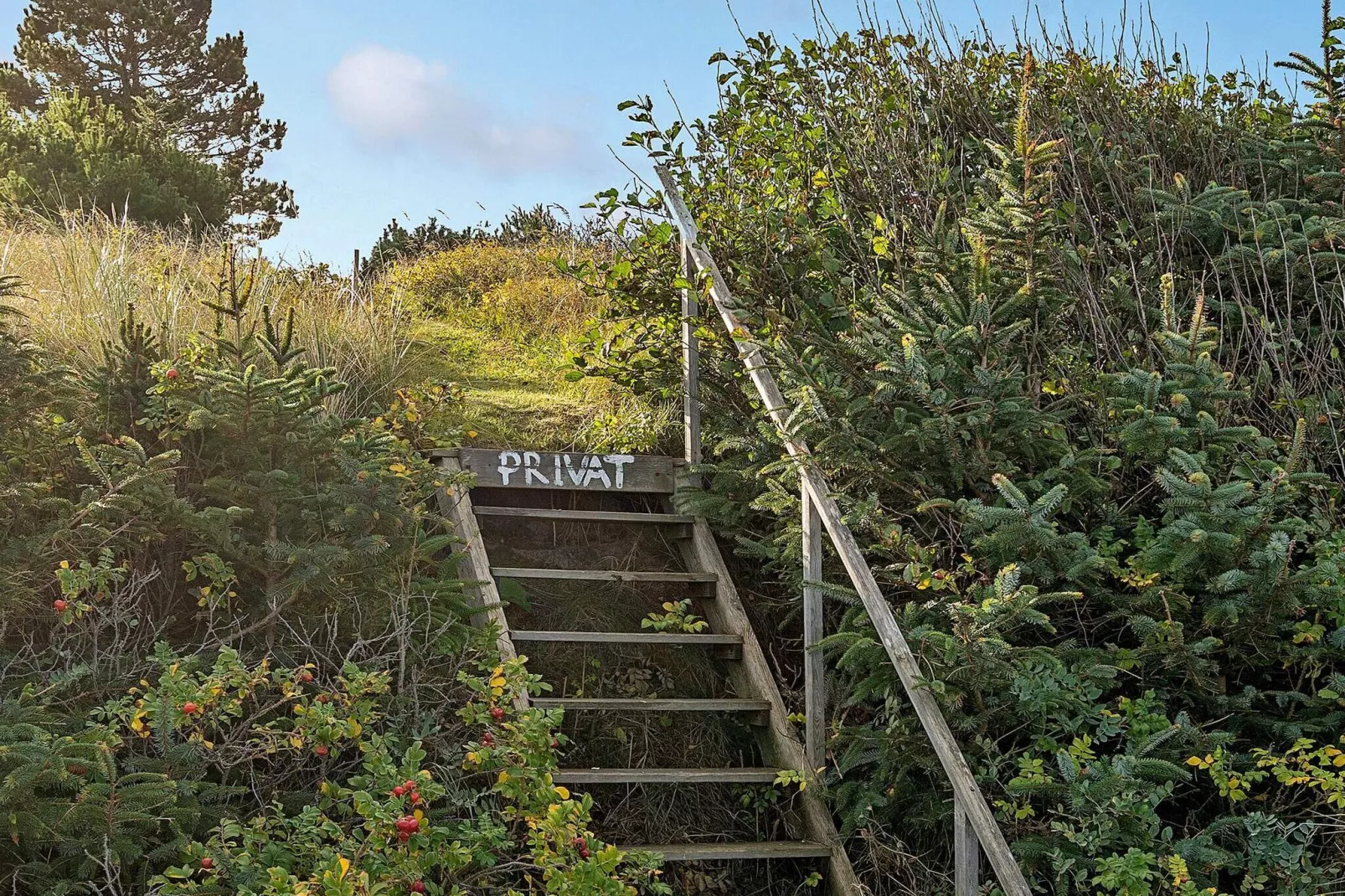8 person holiday home in Gilleleje-Water view