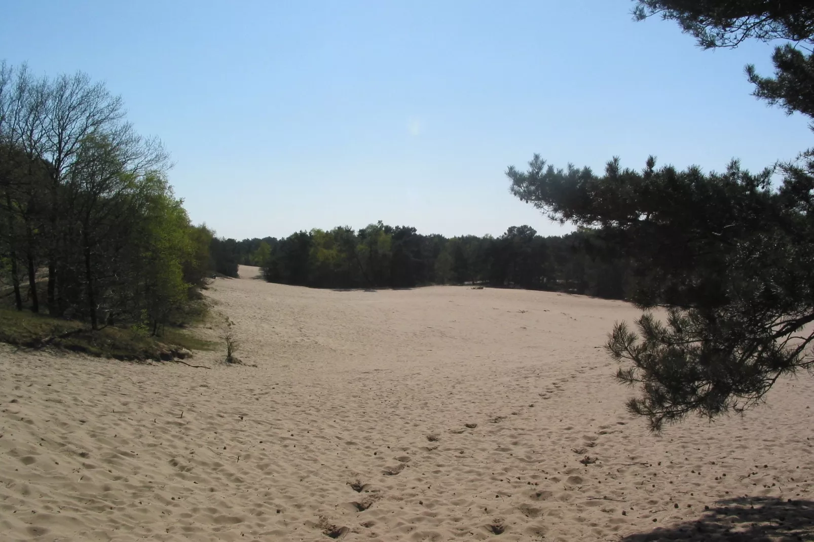 Vakantiepark Herperduin 17-Gebiete Sommer 1 km