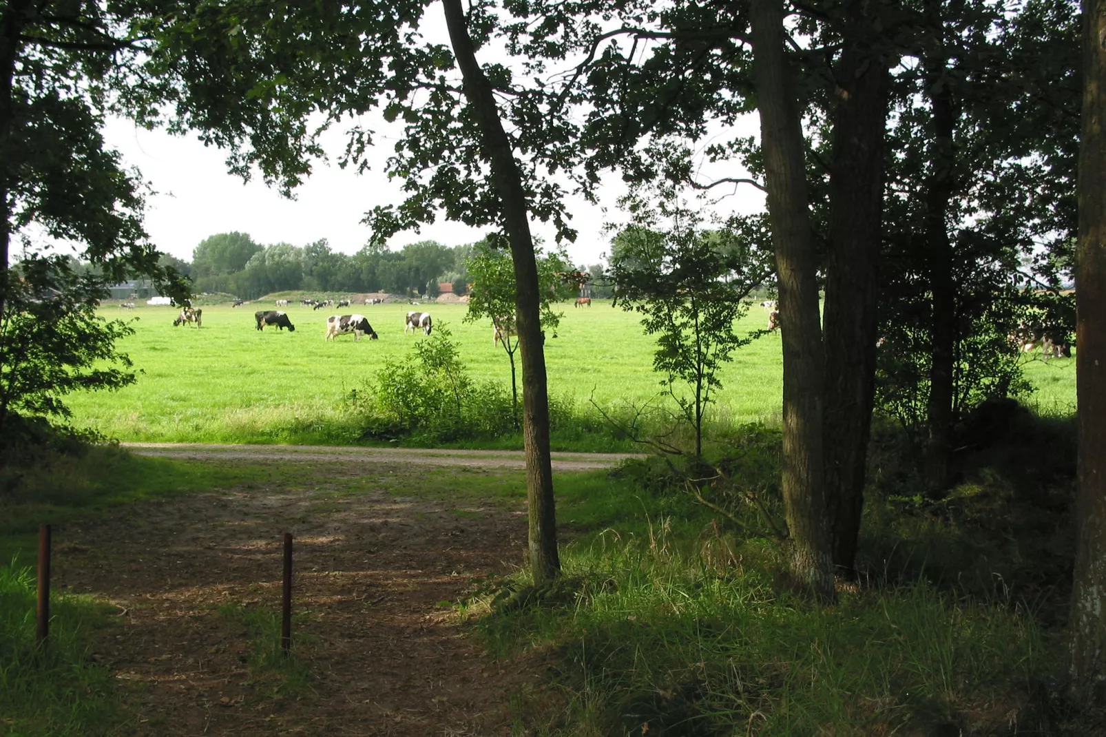 Vakantiepark Herperduin 17-Gebiete Sommer 1 km