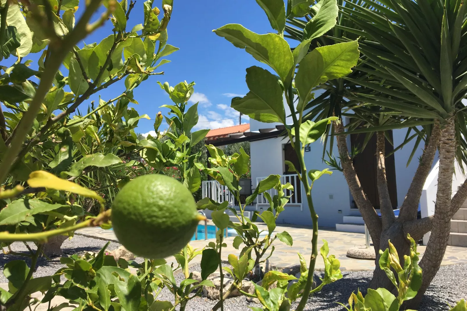 Villa Anna-Jardin d'été