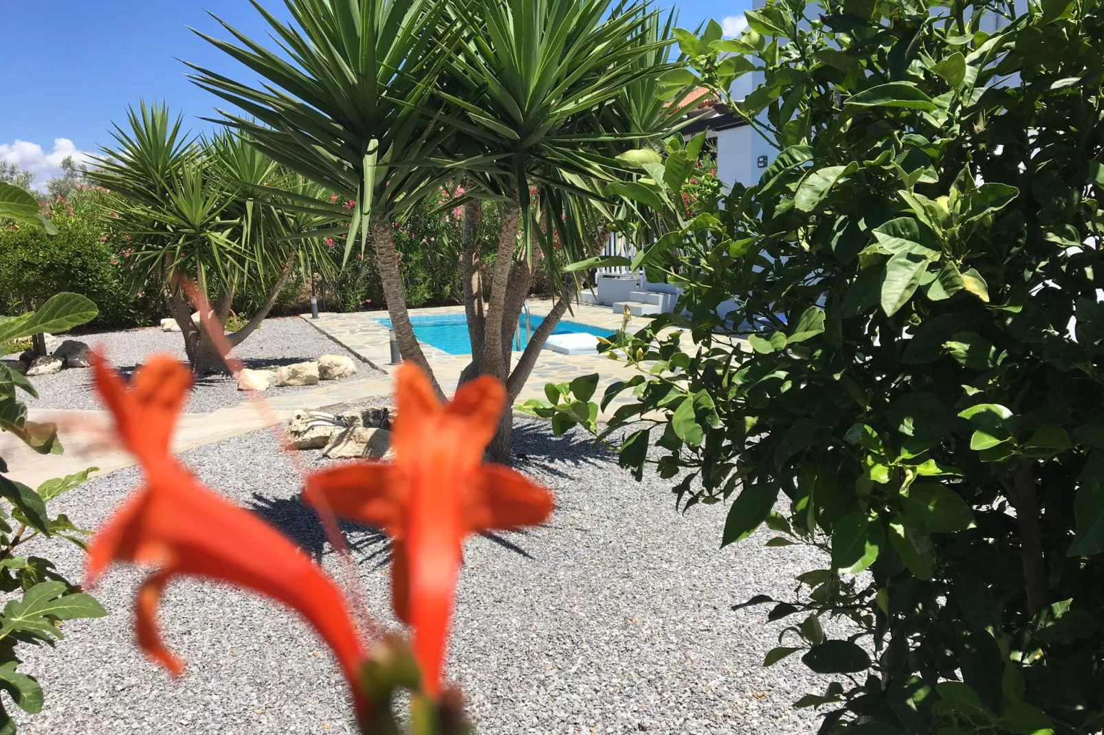 Villa Anna-Jardin d'été