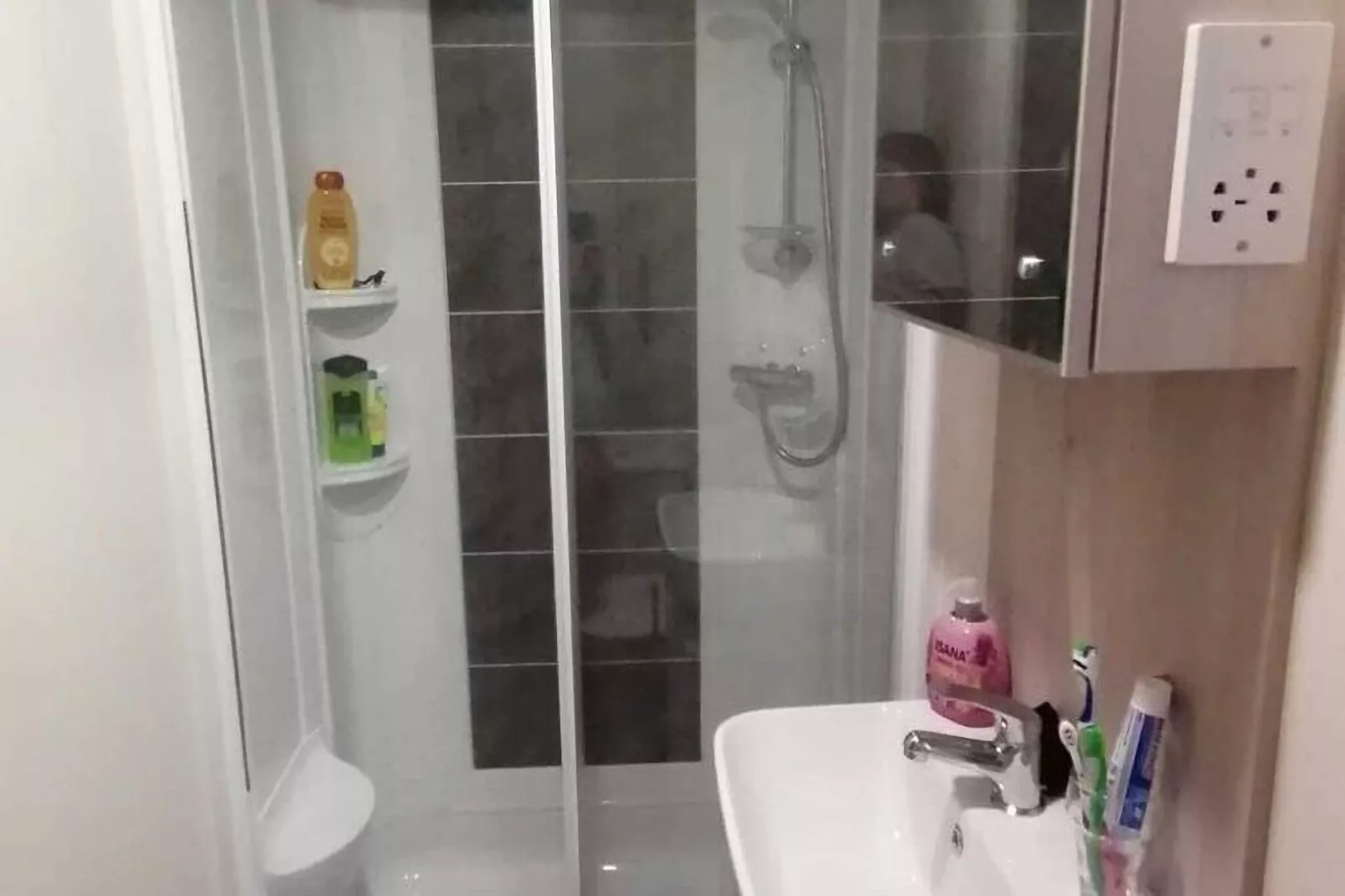 Chalet Janz-Salle de bain