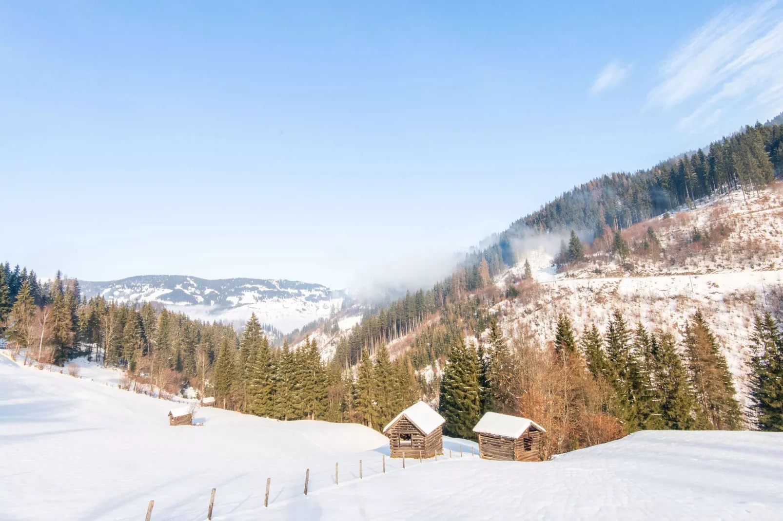 Golden Lodges Type 50 - APP 4 pers - Area within 5km in winter