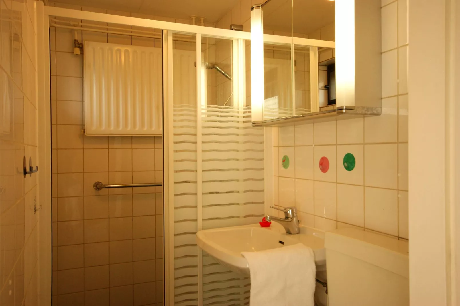 De Haaijmanweg 5-Bathroom