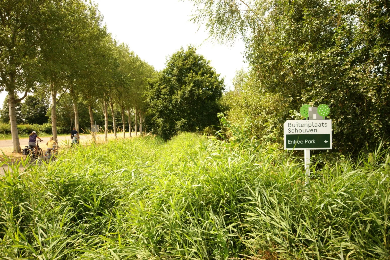 De Haaijmanweg 5-Areas summer 1km