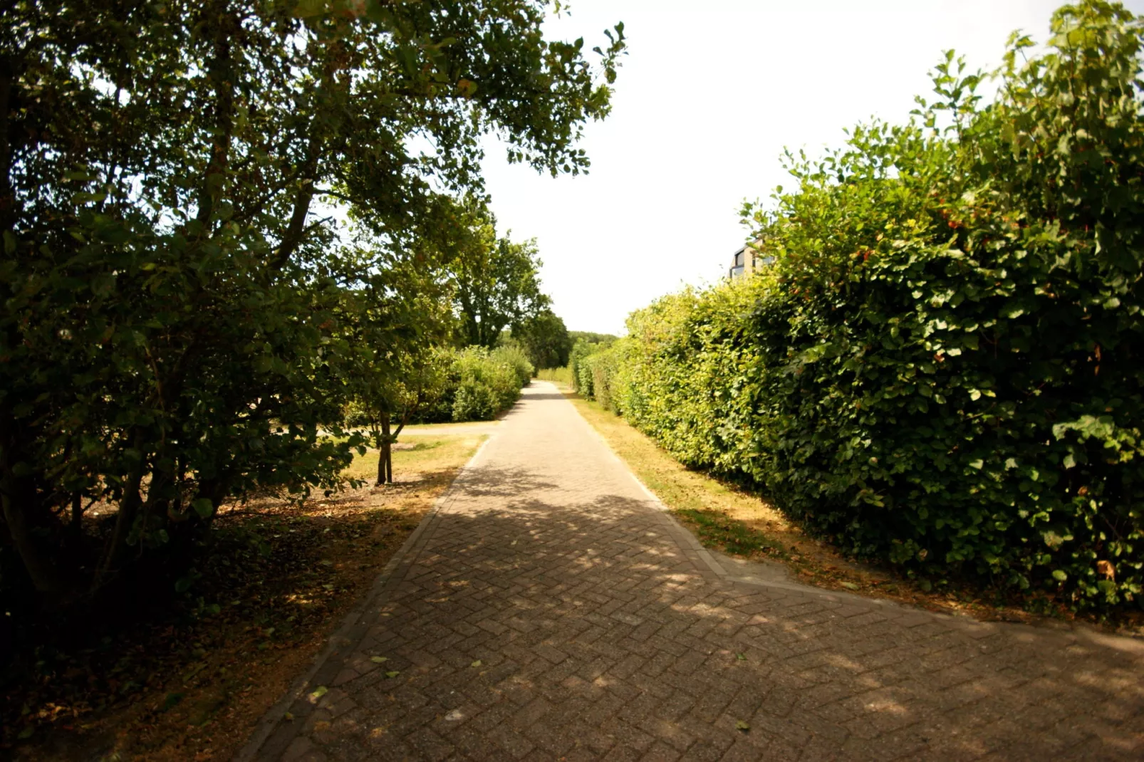 De Haaijmanweg 5-Areas summer 1km